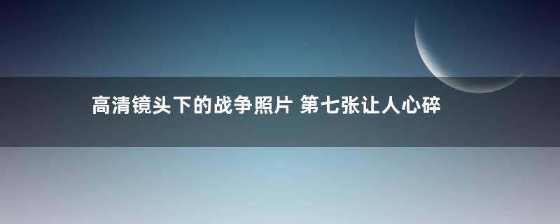 高清镜头下的战争照片 第七张让人心碎